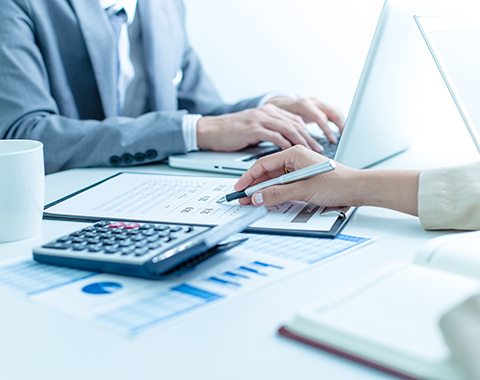 Optimizing Action Plan & Performance Report